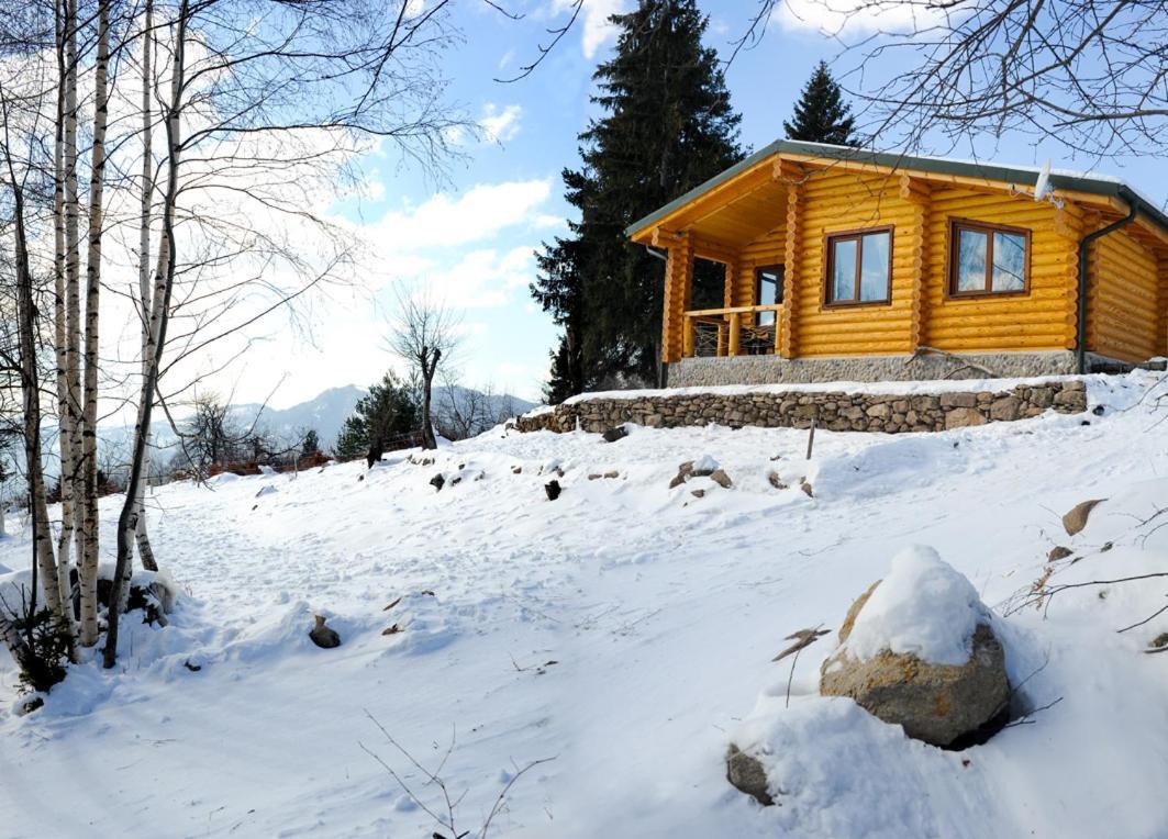 Вила Брезите Pamporovo Eksteriør bilde