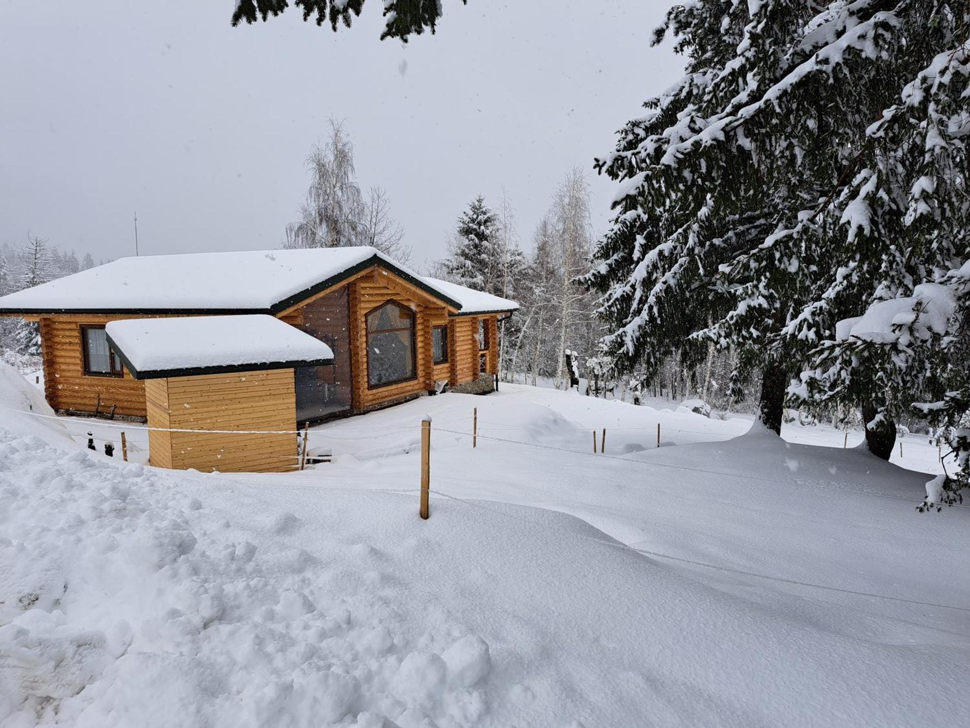 Вила Брезите Pamporovo Eksteriør bilde